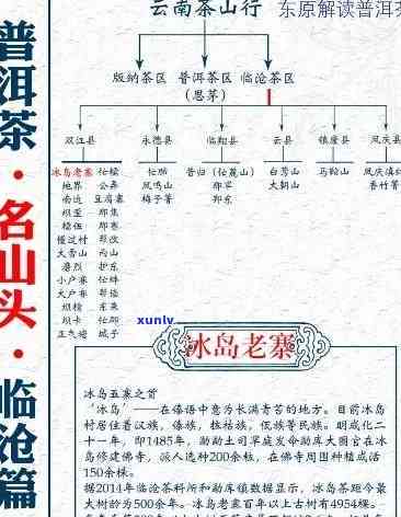 从老班章到易武，再到冰岛和昔归：探索不同山头茶叶的特色与区别