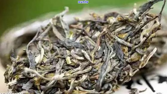云南老班章茶价格：探究云南老班章普洱茶与茶叶的价格，每斤多少钱？