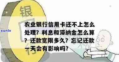 农业信用卡逾期还款四千多元，如何解决逾期问题和降低利息负担？