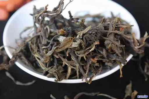老班章古树红茶：价格、口感、品质与选购指南