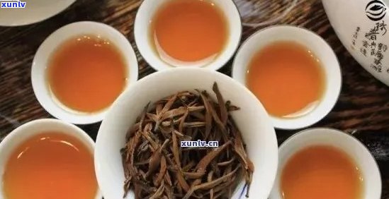 老班章古树红茶：价格、口感、品质与选购指南