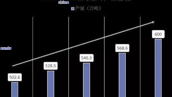 普洱茶价格指南：详尽解析各类普洱茶的真实价值与市场行情