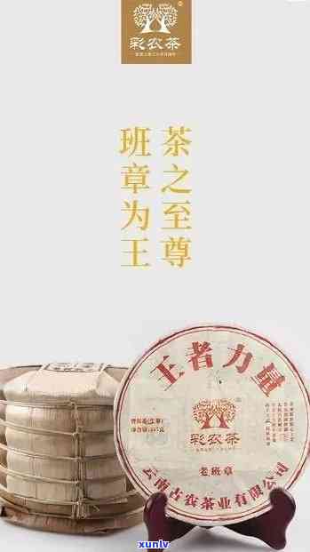 2021年份老班章茶王：品质越，古树风范，岁月沉淀的味道