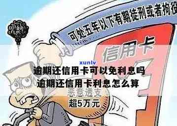 逾期还款信用卡罚息减免停息：影响、冻结解除与使用可能性