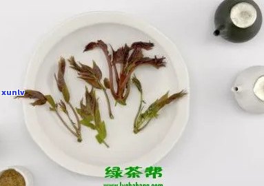 香椿茶的价格详解：一斤多少钱，功效作用与类别全解析