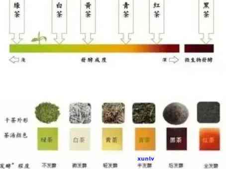 普洱茶五因子：全面解析与选购指南，助您轻松掌握优质茶叶的关键要素