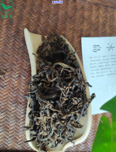 又长又脆的普洱散茶