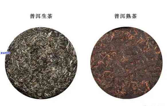 裕泰精选生饼：京东热销普洱茶礼盒，品味黑茶的老百姓必备佳品