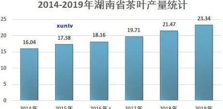 云南普洱春茶市场2021年最新价格走势分析与预测