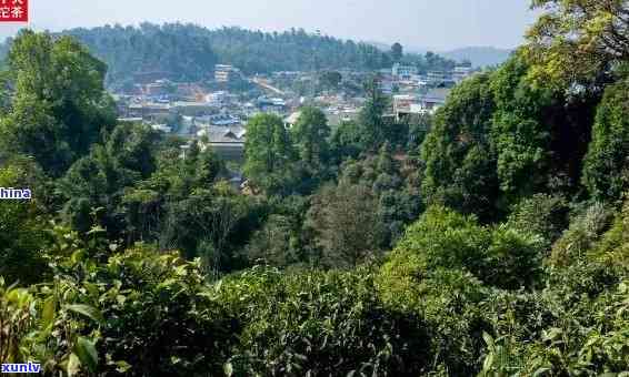 探索老班章风景区：地理位置、交通方式及景点介绍