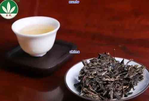 福海茶厂2012年老班章古树茶：品质、特点、产地与泡法全面解析