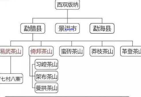 普洱四大茶区代表茶