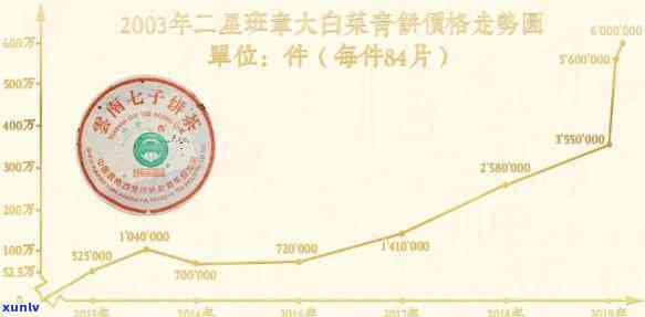 2020年大福班章普洱茶珍藏品鉴：独特的年份与品质共鸣