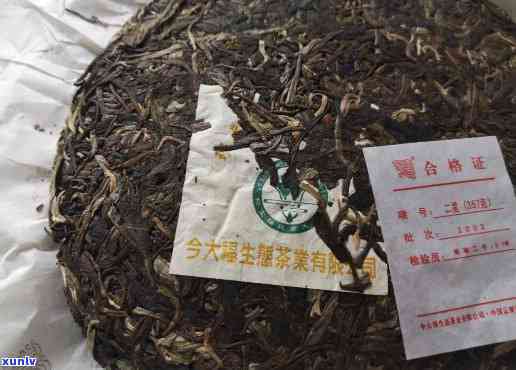 2020年大福班章普洱茶珍藏品鉴：独特的年份与品质共鸣