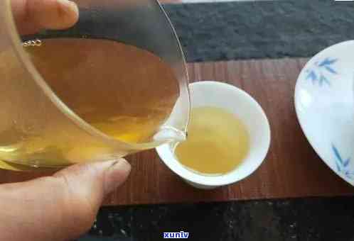 老班章普洱茶升号口感品质探讨：真正的好茶在哪里？