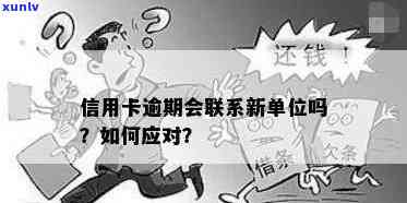 信用卡逾期可能带来的影响及单位是否会知情：全面解答您的疑问