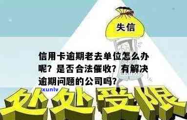 信用卡欠款逾期：公司会参与行动吗？