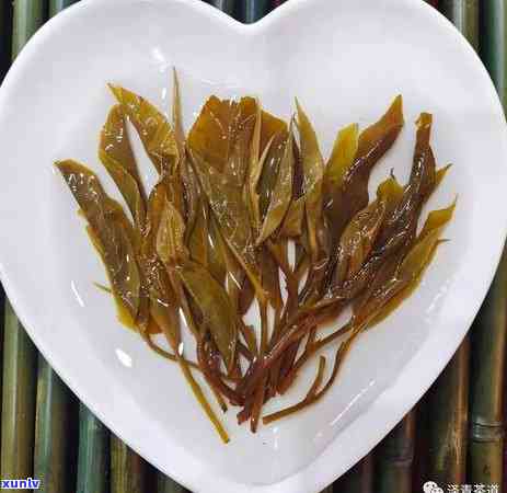 老班章茶树品种：大叶种还是小叶种？解答您关于茶叶类型的疑问