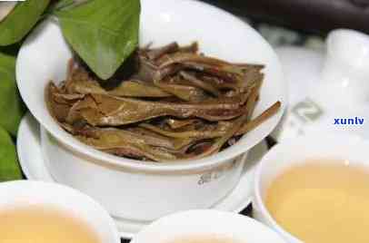 探究老班章古树茶的独特魅力：一款普洱茶的特点与分类