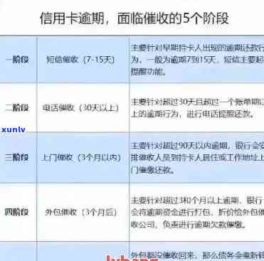 怎么处理信用卡逾期情况最有效：实用建议与策略分析