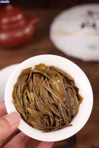 老班章300年古树韵味普洱茶：岁月沉淀的魅力之选