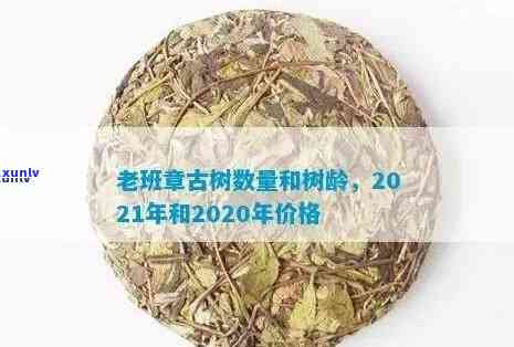 老班章古树茶属于什么茶？老班章古树茶的特点功效及2021年最新价格。