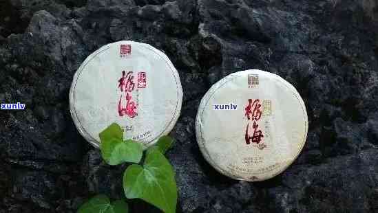 福海老班章2013茶饼：古树原料，精 *** ，口感醇厚。