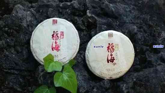 福海老班章2013茶饼：古树原料，精 *** ，口感醇厚。