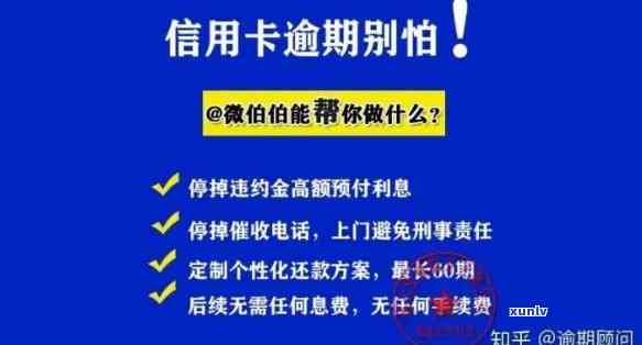 如何处理逾期的信用卡账户和欠款，以及还款问题？