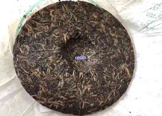 2008年老班章珍稀茶叶品鉴：一场视觉与味觉的宴