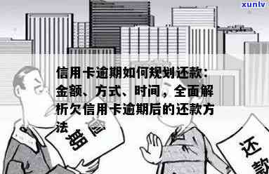 信用卡逾期还款全攻略：了解逾期后果、如何规划还款计划和应对措