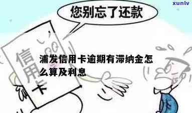 浦发信用卡逾期罚金