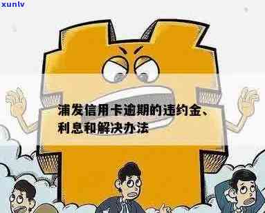 浦发信用卡逾期罚金