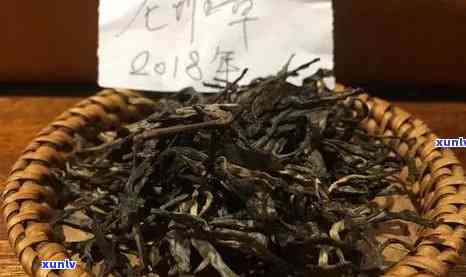 全面解析：吉普号老班章茶的正宗性与品质特点，让你轻松辨别真假