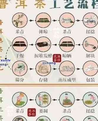 中茶牌普洱茶：历、品种、 *** 工艺与品鉴 *** 的全面解析