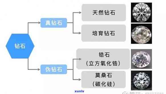 普洱茶放冰箱冷冻室能放多久？不坏吗？还能喝吗？能冻在冰箱里吗？