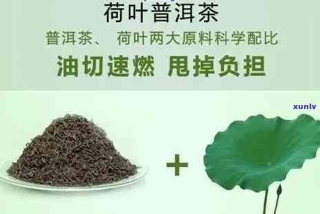 一饼普洱茶可以泡几次？普洱茶饼可以一次全弄散吗？