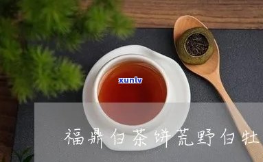 福鼎白茶荒野茶饼：价格与批发货源详细解析，京东、等平台购买指南