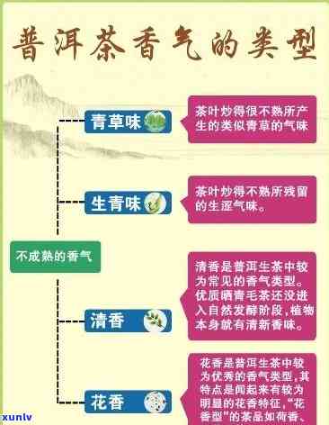 普洱茶香的种类及其特点解析：如何分辨不同香味的普洱茶？