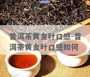 普洱黄金叶茶的特点