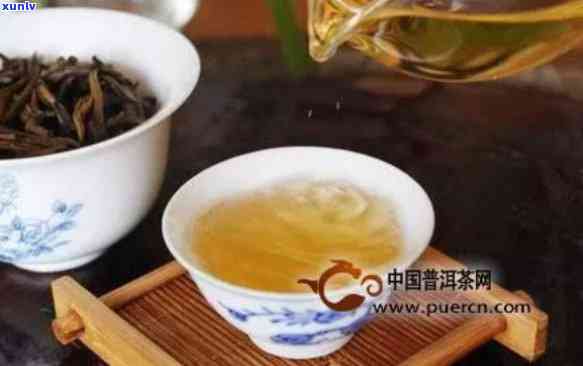 古树普洱散茶：特点、品质与冲泡技巧详解