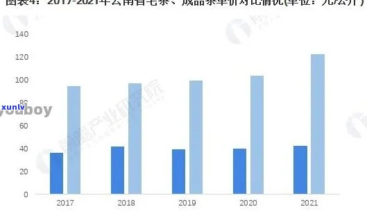 津普洱茶云南排位第几：优质茶叶在云南的市场表现及排名情况分析