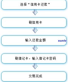 建行信用卡美元还款与注销指南：账户操作与额度管理