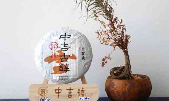 中茶吉号2016吉吉祥品鉴：茶品的精选与品鉴，2016年的吉祥寓意。