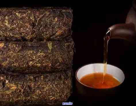 金花茯茶与普洱茶的区别及特点对比：了解这两种茶的不同之处