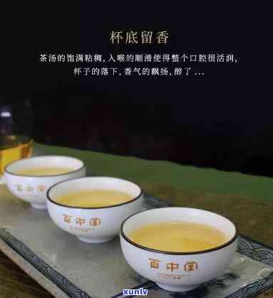 百中堂1680普洱茶旗舰店：品质上乘的普洱茶，让您尽享茶叶宴与健生活