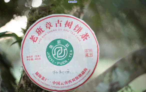 新福海古树普洱茶班章饼茶-巴巴价格集思益老