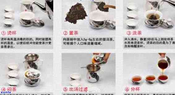 老班章古树茶冲泡技巧：详细步骤与普洱茶的比较研究