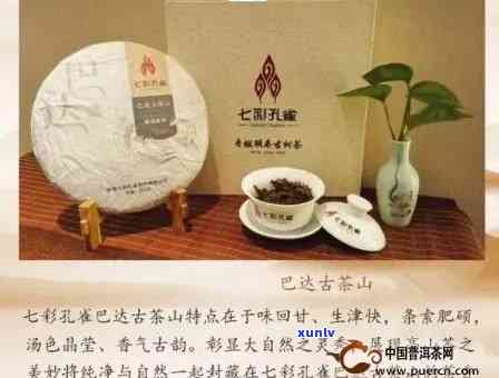 中茶七星班章雀：古树茶叶的精品质与独特风味探析