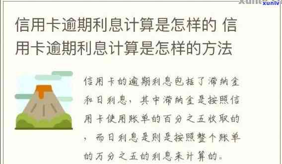 信用卡逾期还款日精确计算 *** 与影响因素分析